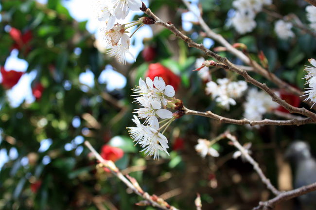 山門のそばで。