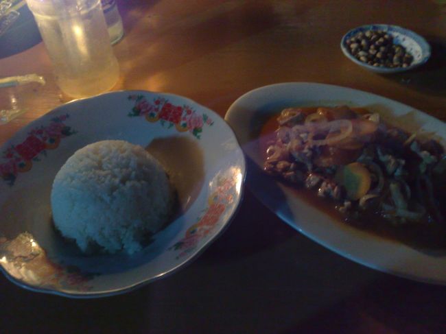 夜はガイコクジン向けのお店で<br />チキンケバブとスチームドライス。<br /><br />これもちょっと違う気が。。。