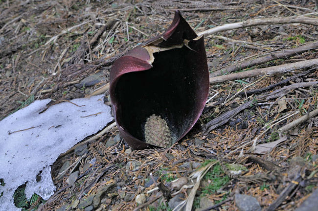 可愛いお坊さんの？