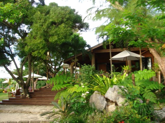 夕方間近の良い雰囲気。コーヒーなんぞよりは、アルコール！オリオンビール（中ビン）をのみました