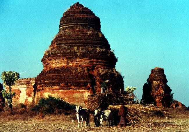 3大仏教遺跡・MYANMAR（ミャンマー）のBAGAN（パガン）は広かっ