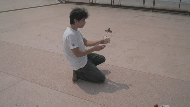 鳥さん２０Ｂで放せます。