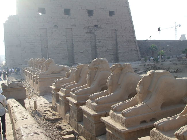 カルナック神殿の前に並んでいるスフィンクス。<br /><br />　全部発掘すると３キロの列になるという。