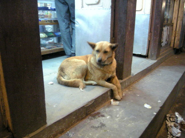 いらっしゃいませ〜。