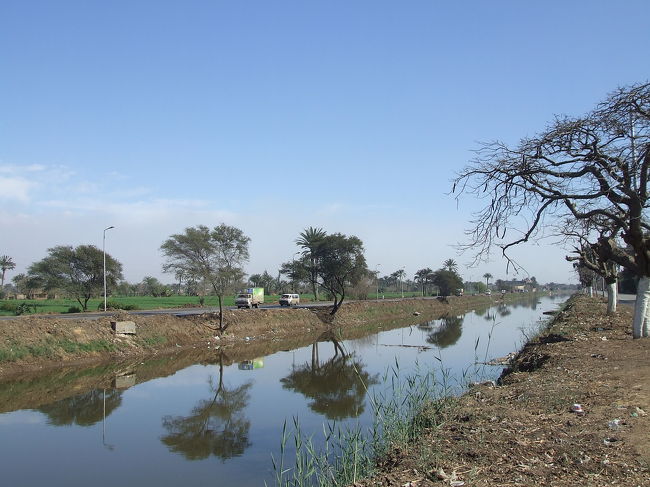 ナイル川の支流