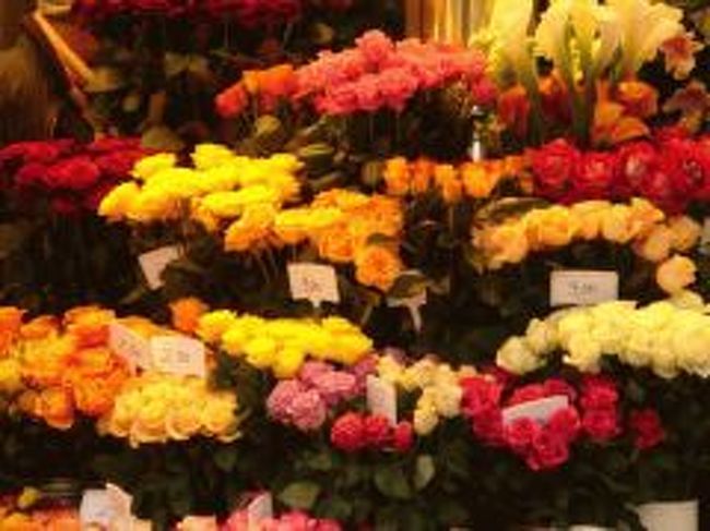 さずがヨーロッパ！バラの種類が豊富！