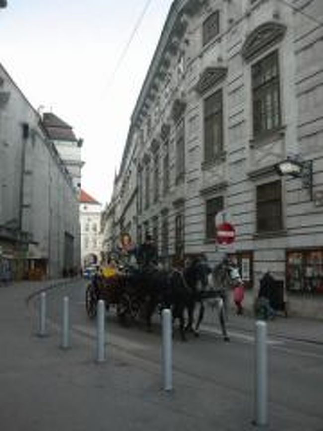 シュテファン寺院から北西に位置するヴォティーフ教会を目指して街並みを楽しみながら散歩してましたが、残念ながらヴォティーフ教会は修復中で入れませんでした。<br /><br />歩いてる中で見た風景。<br />馬車をよくみかけました。 