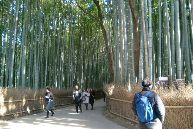 天龍寺を出るとすぐに竹林があります。<br />結構な長さがあって、雰囲気を楽しめます。