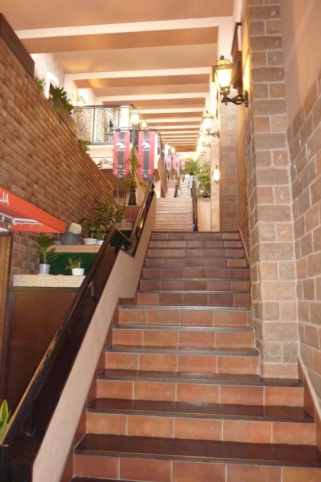 昨夜写した坂道風の階段です。<br /><br />やっぱり、写真は明るい時の方が綺麗ですね。