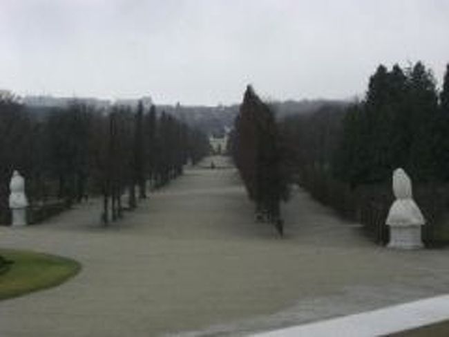 豪華な宮殿内を見学した後は、もちろん庭園散歩。<br />美しい並木道・・夏なら更に葉が茂って美しいみたい。