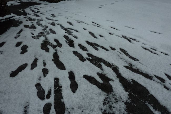 私たちの足跡です。<br /><br />今朝は、雪がこんなに降ったんですよ〜。