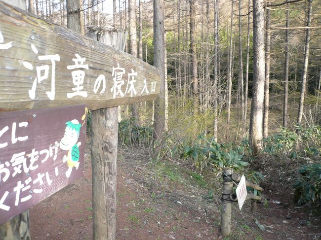 ホテル内を散歩すると、河童の寝床！？