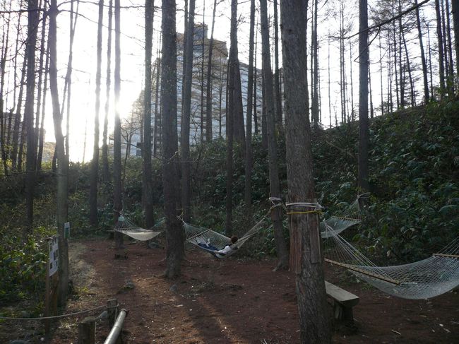 マイナスイオンって最近は言わないけど。。。出てるかな?