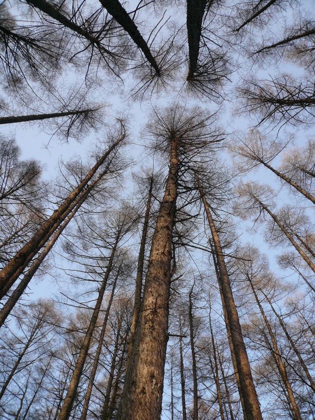 ARTISTICに撮れました。