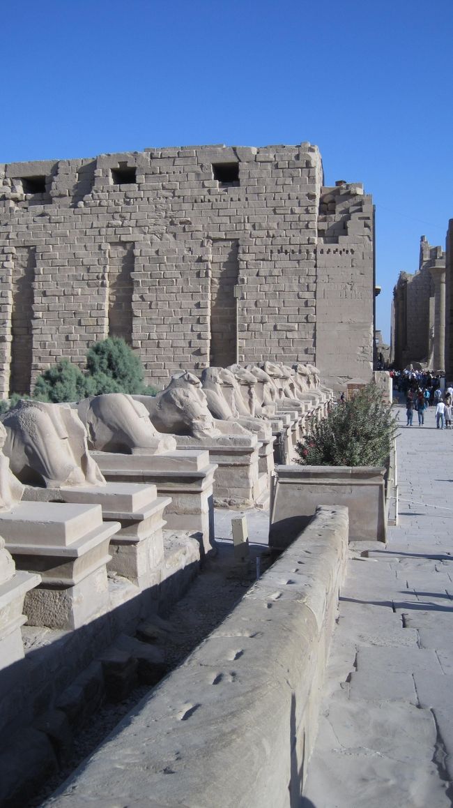 カルナック神殿、４０の羊などのスフィンクスが見事