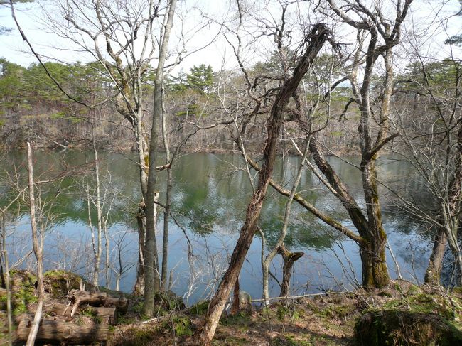 裏磐梯にある五色沼にやってきました。<br /><br />「柳沼」