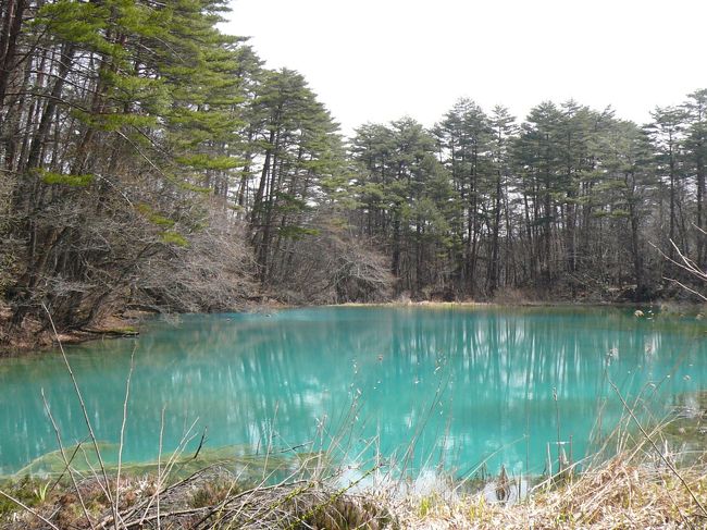 「青沼」　美しいブルー<br /><br />なんて神秘的な沼なんでしょう。