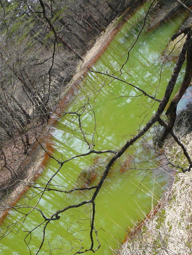 異なる色の沼は 鉱物質や 、光の屈折率、 水中植物の影響などによると言われています。<br /><br /> 又、見る角度や、時間、季節、天候によっても 水の色が微妙に違って見えるそうです。