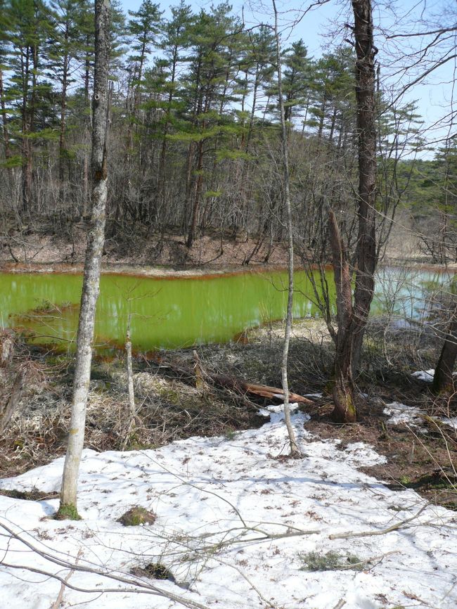 残雪と一緒に。<br /><br />冬の五色沼も素敵なんでしょうね。