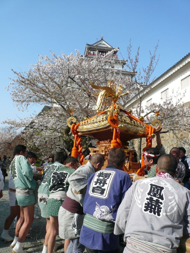 お花見客、お神輿、ヨサコイ　など…とても賑わっていました。