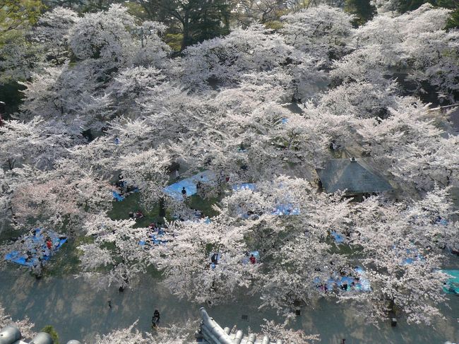 鶴ヶ城の最上階に到着しました。