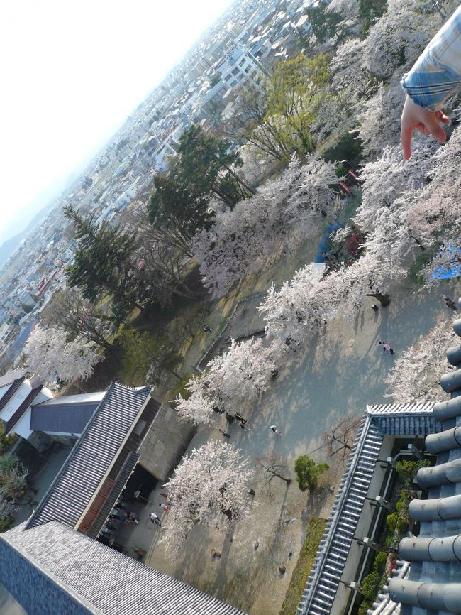 最上階から城下町を一望できます。