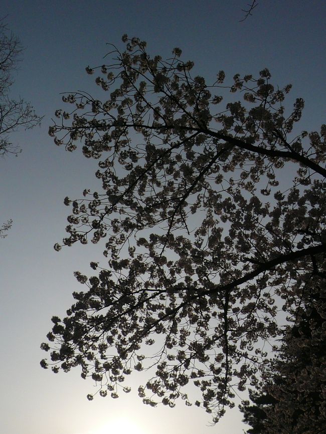 茶室「麟閣」にも寄りたい所でしたがもう１カ所行きたい所があるため移動します。