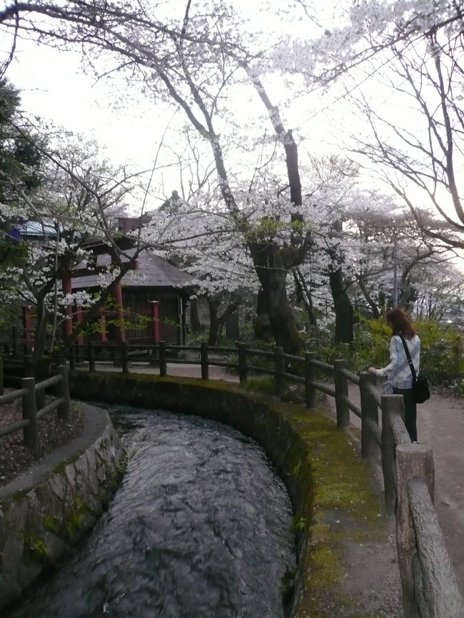 夕ごはんの時間になってきました。<br /><br />ここから近くにある昨年オープンしたばかりというイタリアンのお店に向かいます。