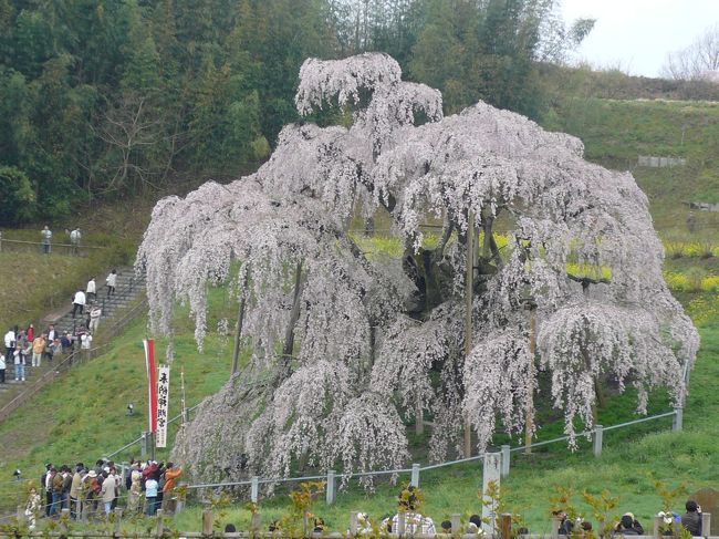 １泊２日の福島の旅は内容の濃い旅になりとても良い思い出となりました。<br /><br />一生に一度は見たい滝桜と言われていますが出来ることなら毎年見たいものです。<br /><br />そして今回まわれなかった喜多方の蔵のある街並みや会津のぬくもりを感じるカフェなどに次回は訪れてみたいです。<br /><br />長い旅行記になりましたが最後まで見て下さってありがとうございました。<br /><br /><br />　　　　　　　LOVE&amp;TRAVEL