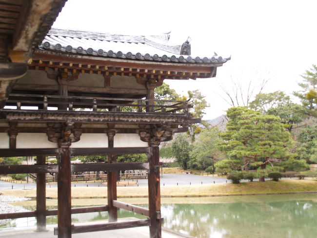 宇治平等院』宇治(京都)の旅行記・ブログ by ドクターキムルさん 宇治平等院』宇治(京都)の旅行記・ブログ by ドクターキムルさん