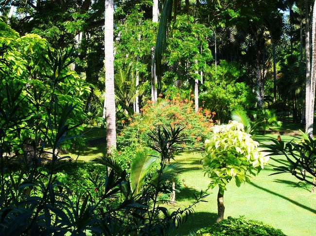 ガーデンビューの２階からの眺めです<br />こんな庭がず〜〜っと広がっていて、外の建物など余計なものが見えないので海が見えなくても気持ちいい〜〜