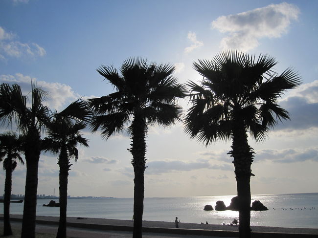 16：00過ぎ、ドライブ出発です。<br />沖縄らしい景色が見えるとつい写真を撮りたくなります。