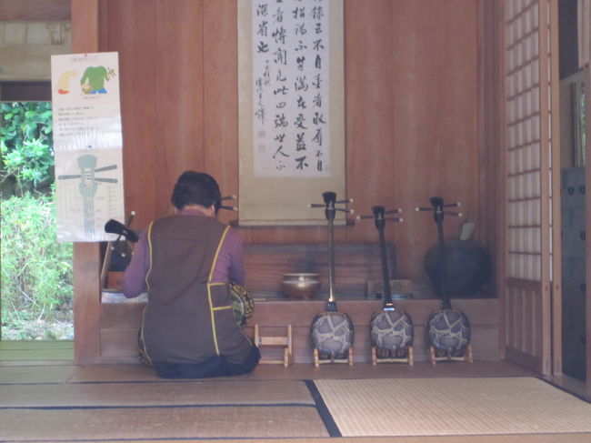 おばあが調整中。<br />この後、また弾かせてもらいました。<br />難しいです。<br />ここはお茶も出してくれて、おばあが丁寧に教えてくれるのでお勧めです。