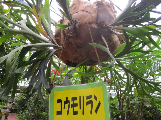 12：30　フルーツランドへ。