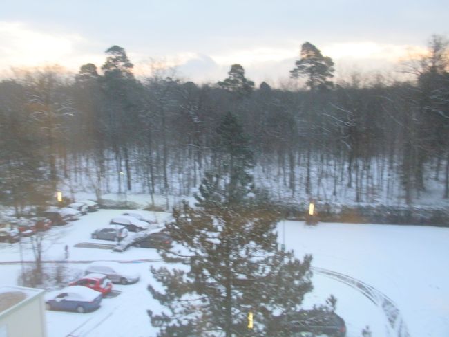 フランクフルトは寒い。ホテルの外はこんな感じ。だいたい、昨日も耳が出ているドイツ人はいなかった。(みんな帽子をかぶってる）さむ。寒くなかったらもう少し観光するんだけど。仕事もあるし帰らないと。