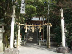 鳥居をくぐり進んで行くと、左前方に神社へ向かう階段と、右へ枚岡公園(枚岡梅林)へ向かう道が出てきます。
　
とりあえず梅林を見に行くことに。
三 (/ ^^)/