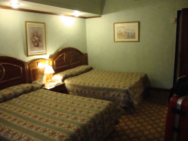 明日はピラミッドの観光です。<br />今日はつかれたので早めに寝ます。