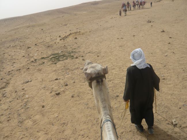 ラクダにも乗りました。<br /><br />サハラ砂漠までちょっと出て、折り返してくる感じで10$でした。