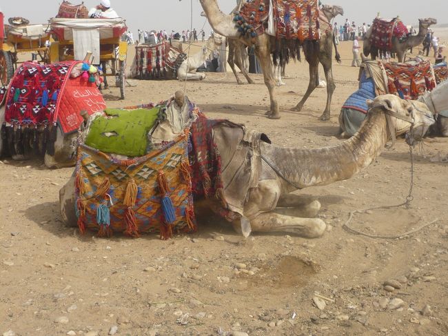 ありがとう。<br />楽しかったよ！