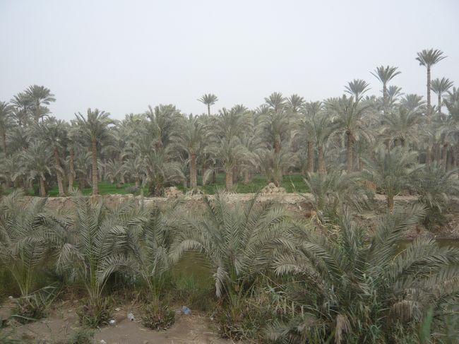 ダハシュールからメンフィスに向かうところの風景です。