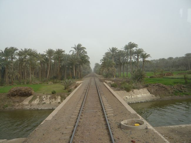 列車通っているそうです。