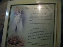 せみの解説。バンコクのアパートでは夜明け前と夕暮れの時間にせわしなく鳴きます。