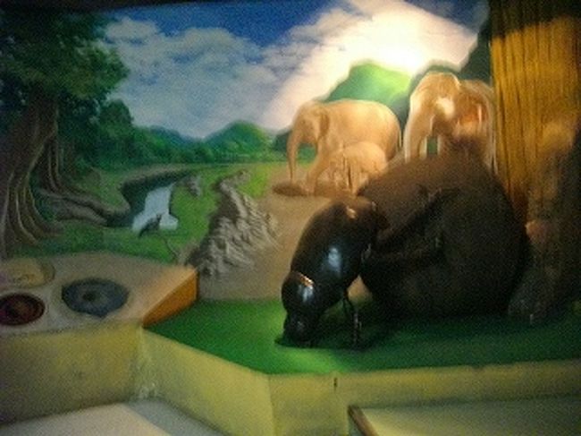 １５１９．ふんころがし。残念。ピントが合ってない。