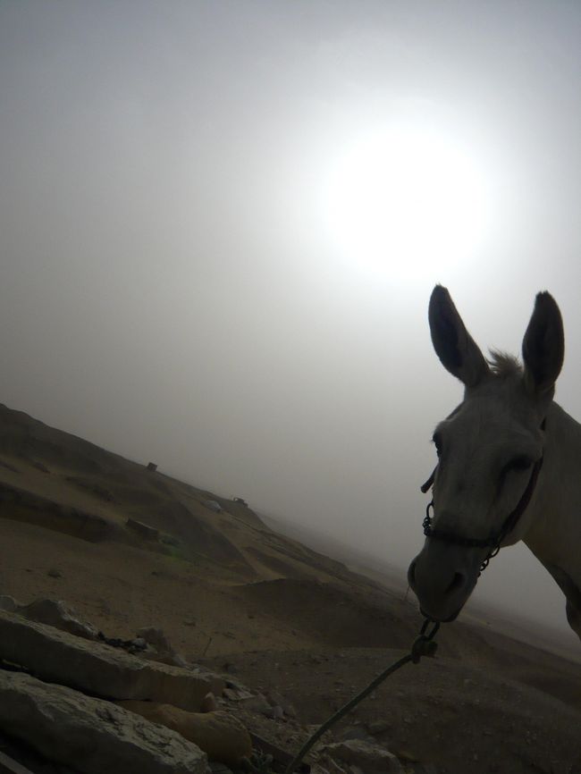 周りは本当に砂漠です。