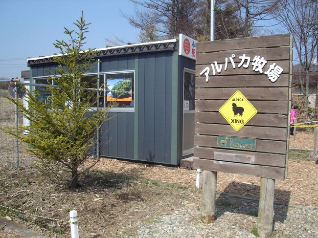 途中のＳＡで休憩しつつ、愛車で飛ばすこと４時間。<br />アルパカ牧場へ到着！！<br /><br />雪は全然心配ありませんでした。<br />今日は天気も良いです。<br /><br />入場料８００円を払い入場。