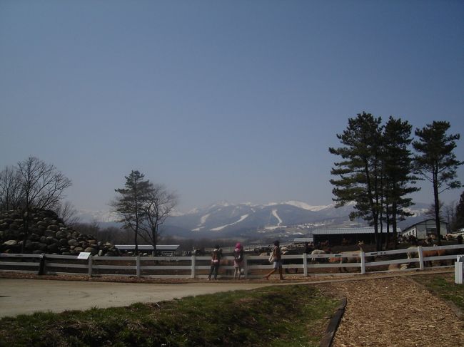入場ゲートから、しばらく歩くと･･･。<br /><br />わー、スゴイ山！！<br />そしてアルパカがたくさん！！<br /><br />あの山は茶臼岳でしょうか？<br />山を越えたら福島県ですね。