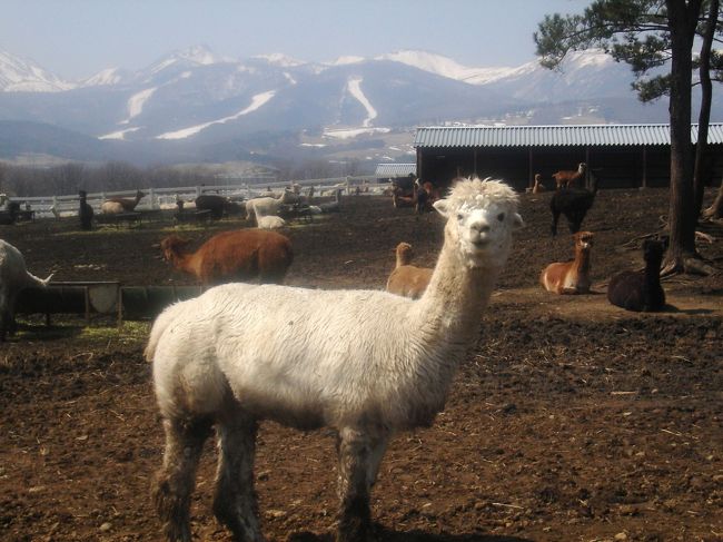 「ん？だれ？」