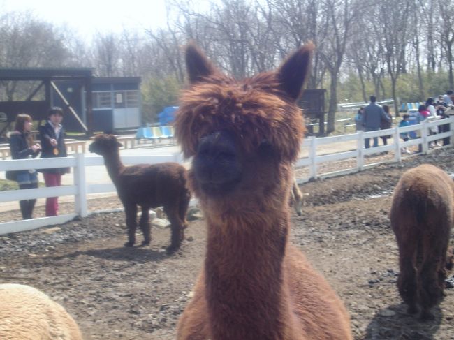 あなたは･･･、前見えますか？？<br />（でも女の子）