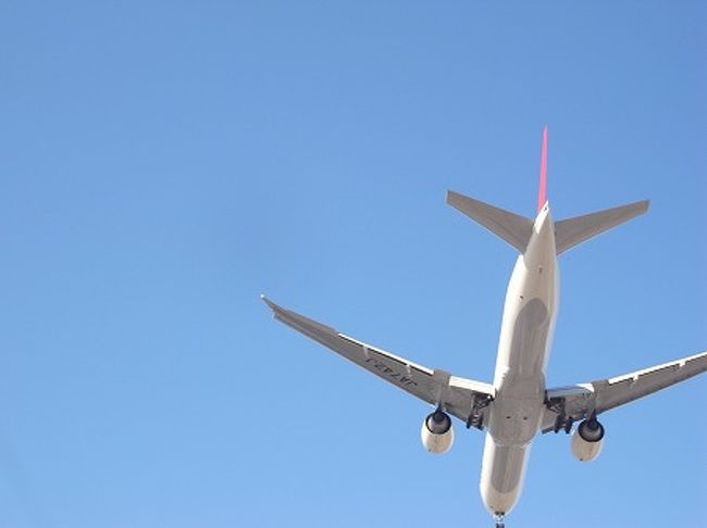 ちょうどその時、レンタカーセンターの上をJALのB777が通過！<br />これから乗って帰る飛行機です。<br /><br />シャトルバスでトムブラッドレーターミナルに向かうとします。