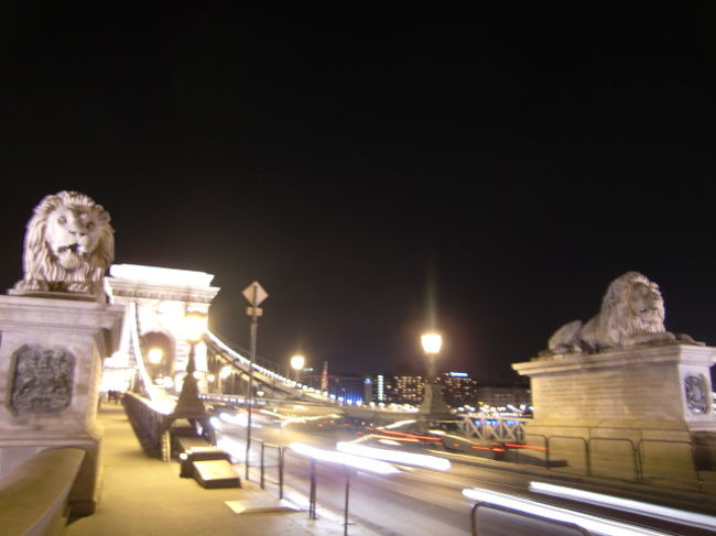 やはり、このライオンは撮らないと。<br />